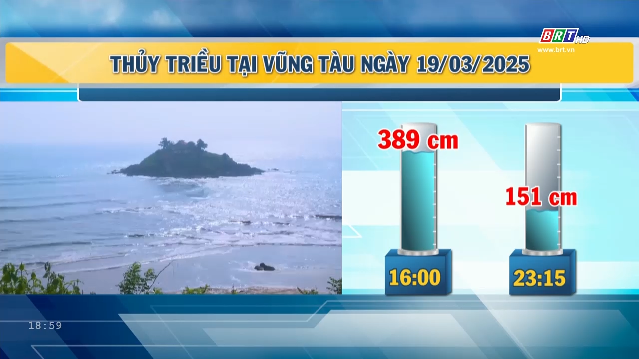img-card