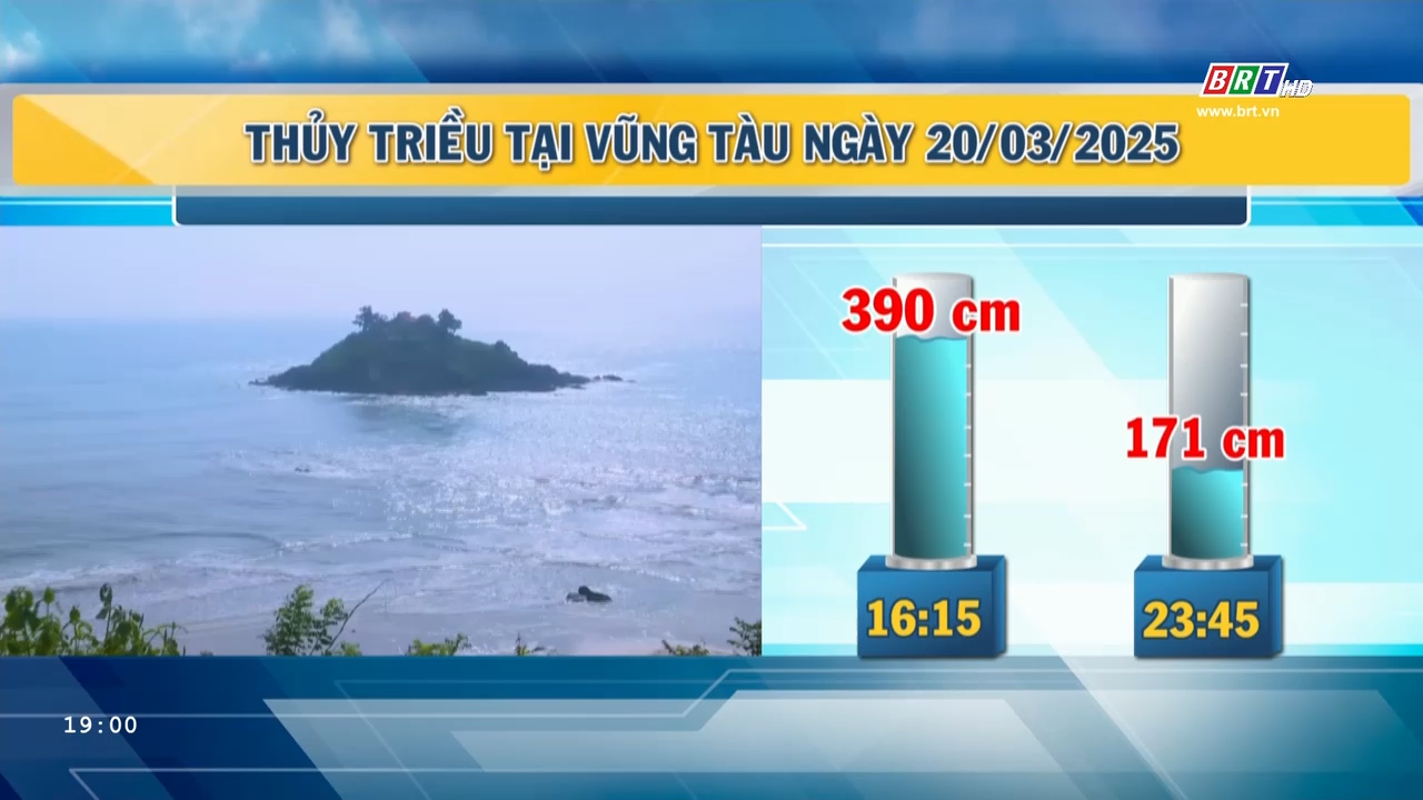 img-card