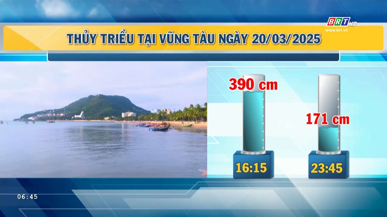 img-card