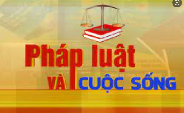 img-card