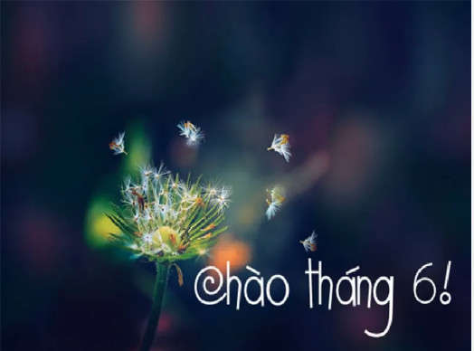 img-card