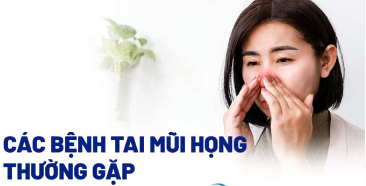 img-card
