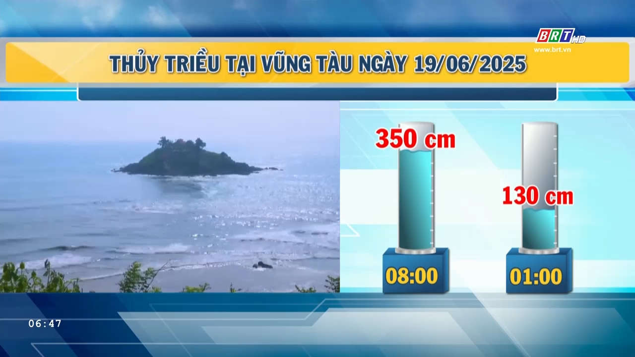 img-card