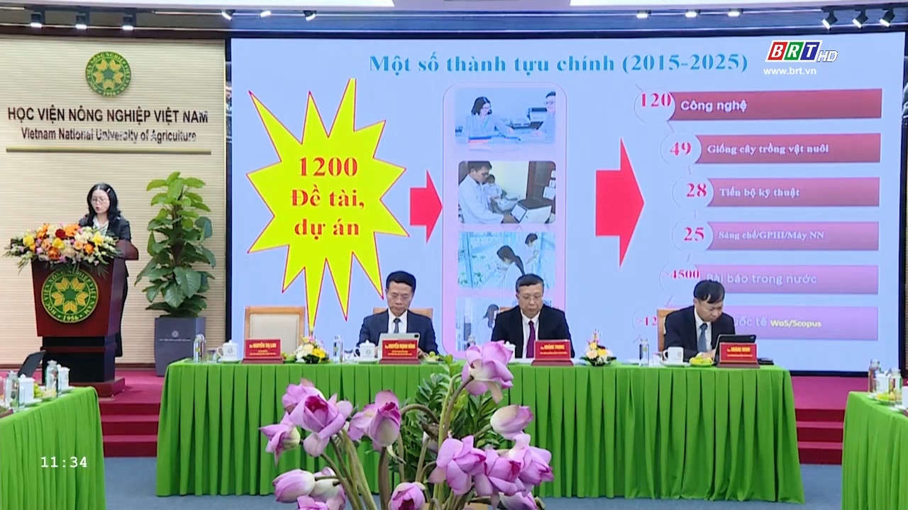 img-card