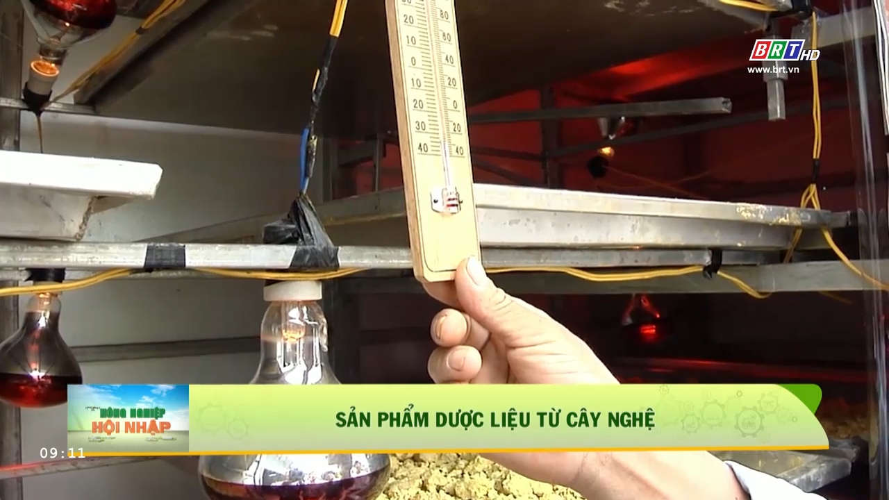 img-card